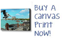 Buy A Canvas Print