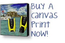 Buy A Canvas Print