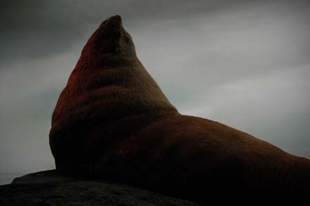 nw_trip_05_2385