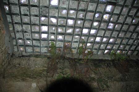 nw_trip_05_2441