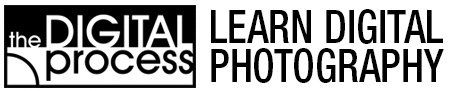 Learn Photography for FREE!